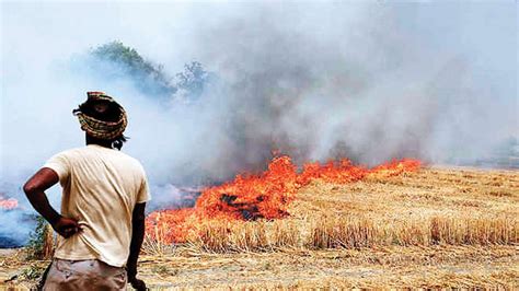 stubble burning in india